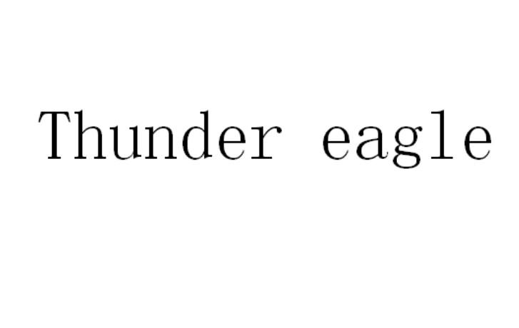 THUNDER EAGLE