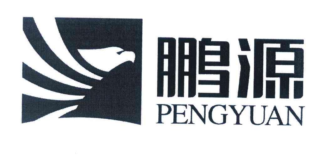 鹏源 PENGYUAN