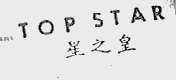星之皇  TOPSTAR