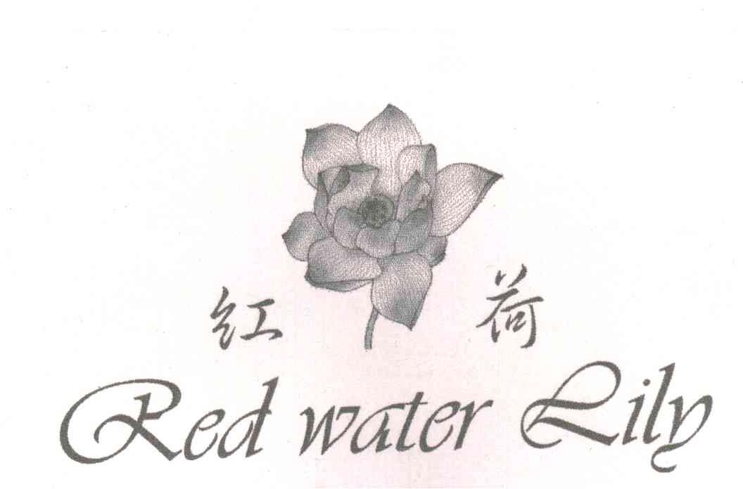 红荷
