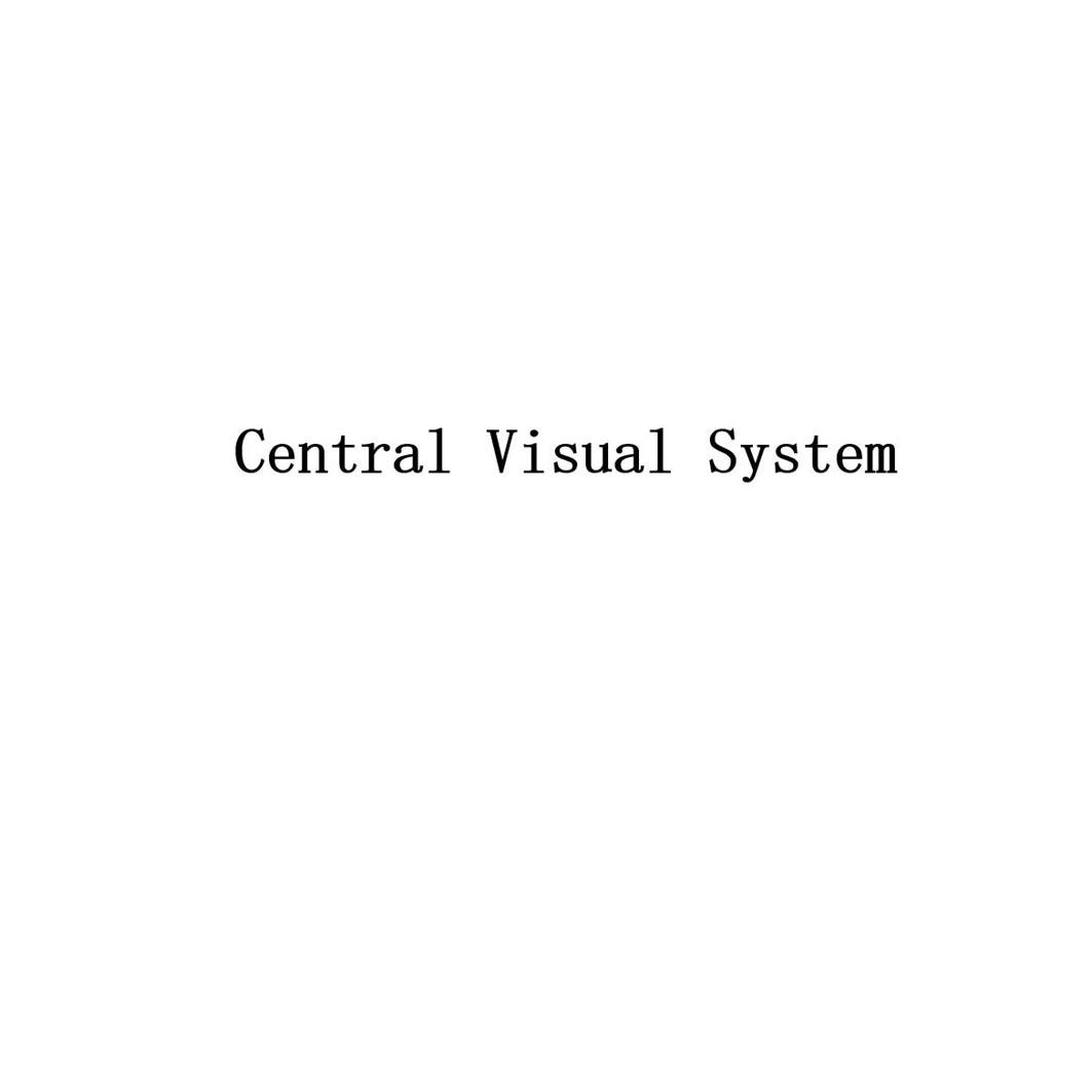CENTRAL VISUAL SYSTEM
