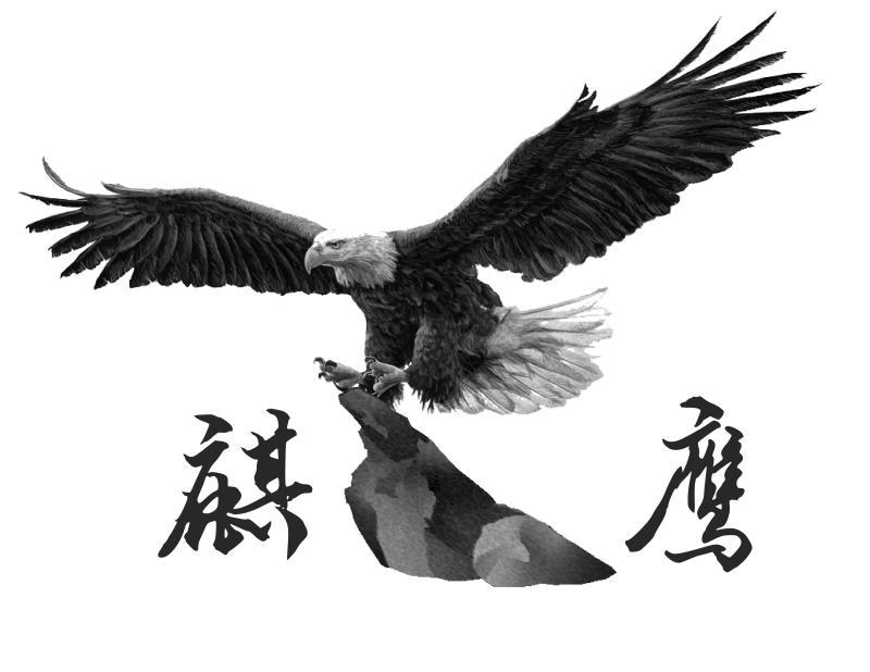 麒鹰