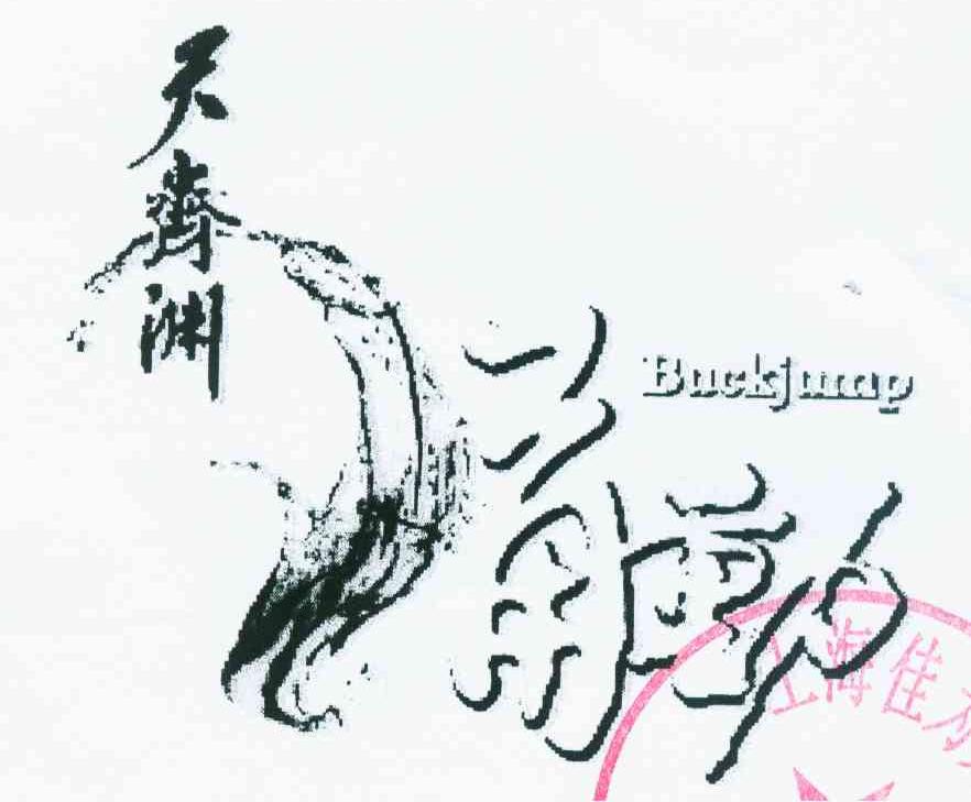 天齐渊 甬动 DUCK JUMP