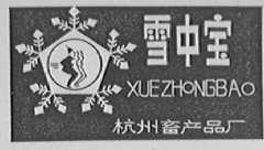 雪中宝