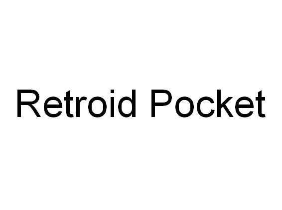 RETROID POCKET