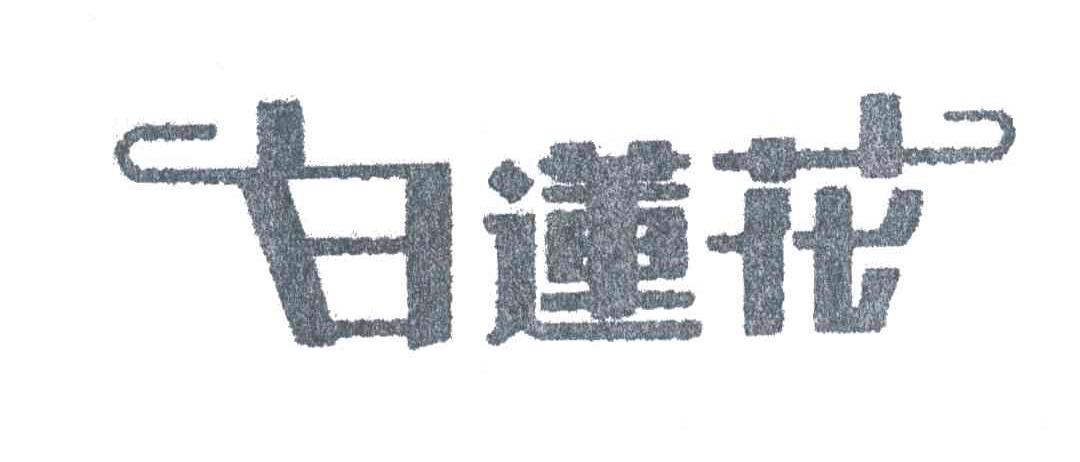 白莲花