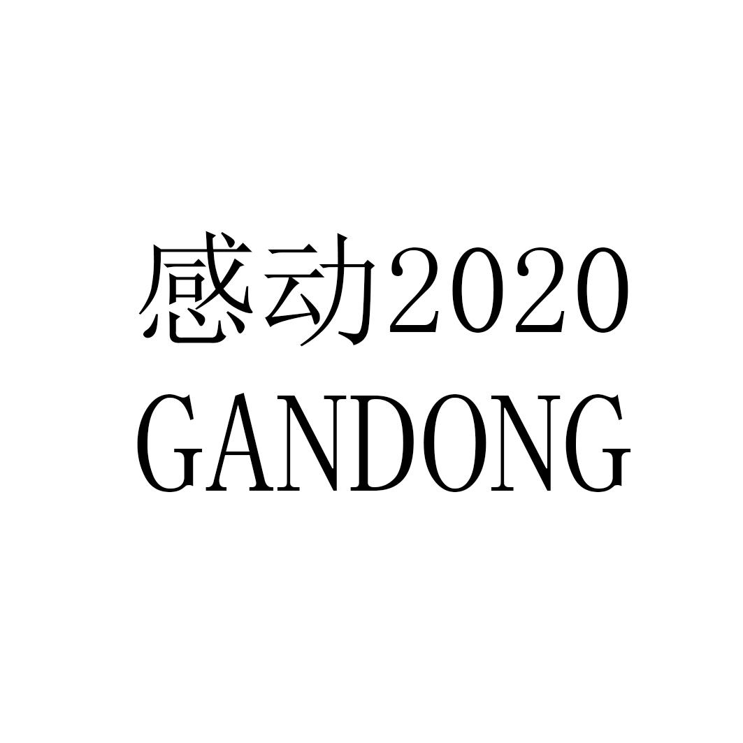 感动2020