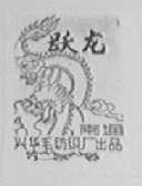 跃龙