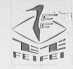 飞飞    FEIFEI