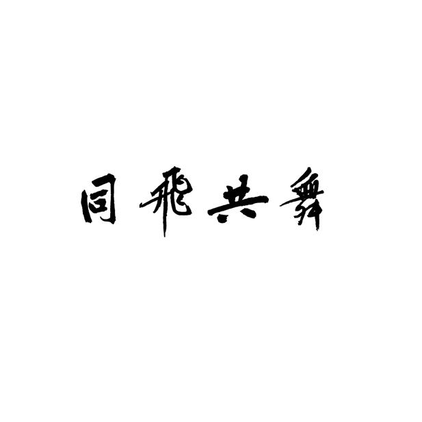 同飞共舞
