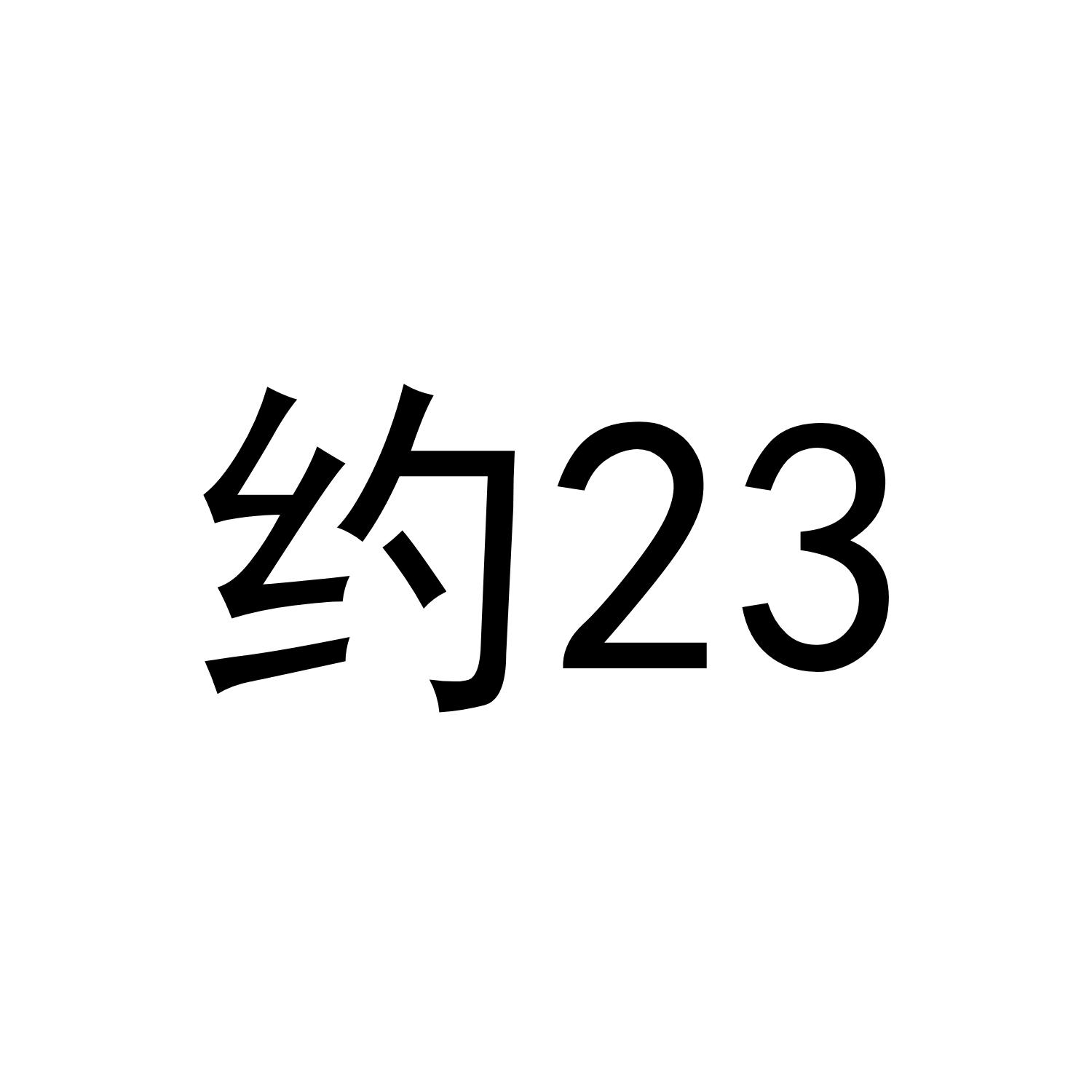 约 23