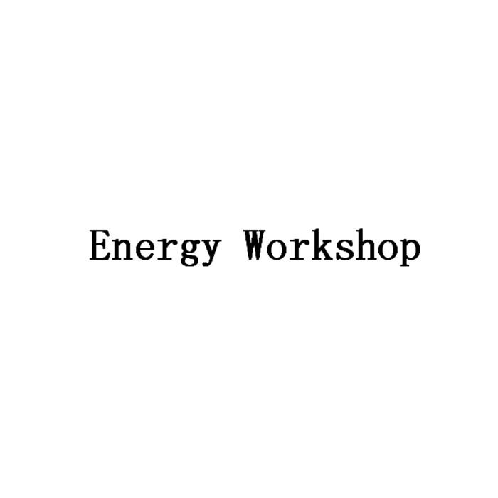 ENERGY WORKSHOP