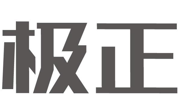 极正