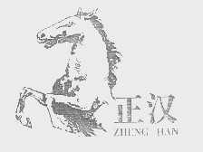 正汉