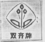 双齐