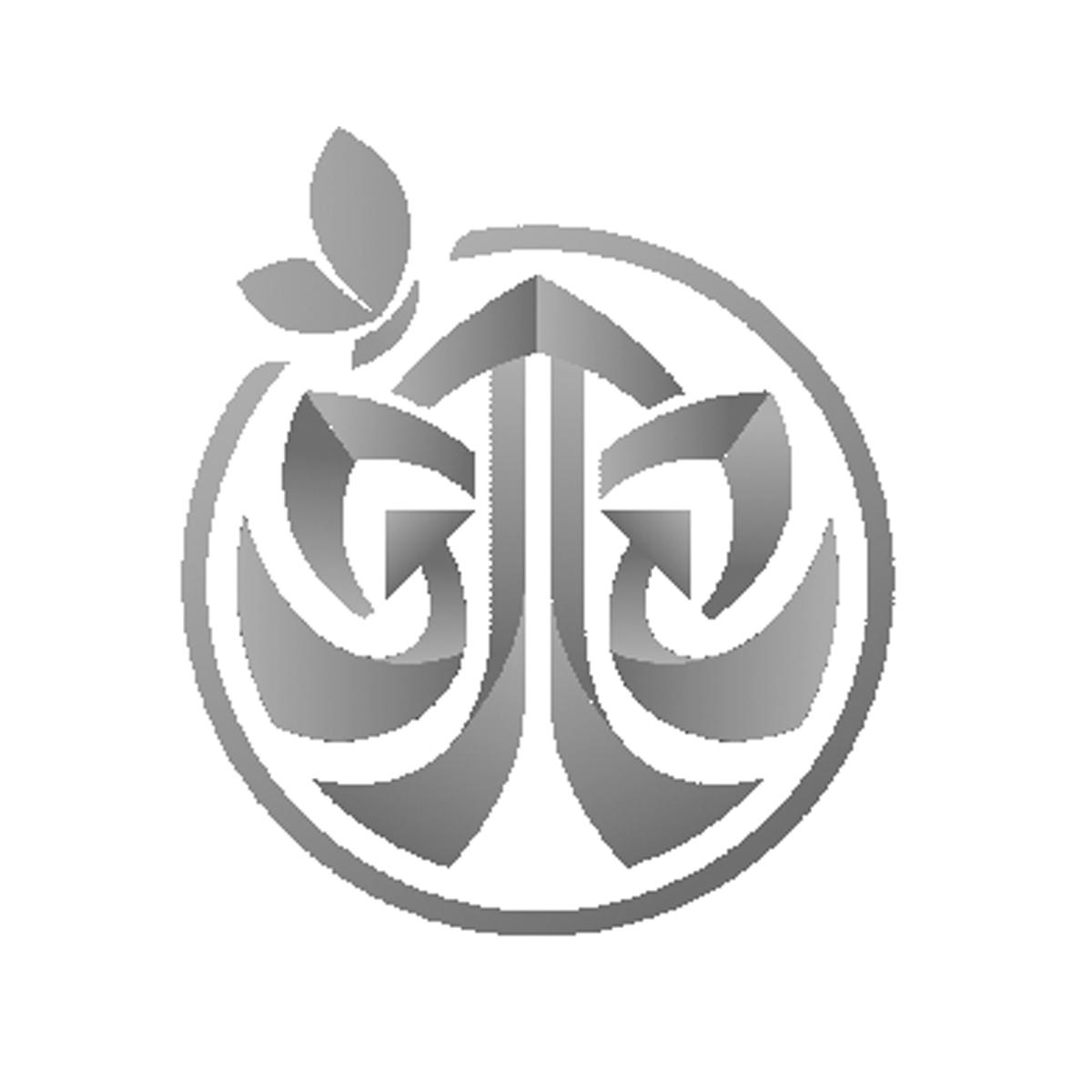 图形