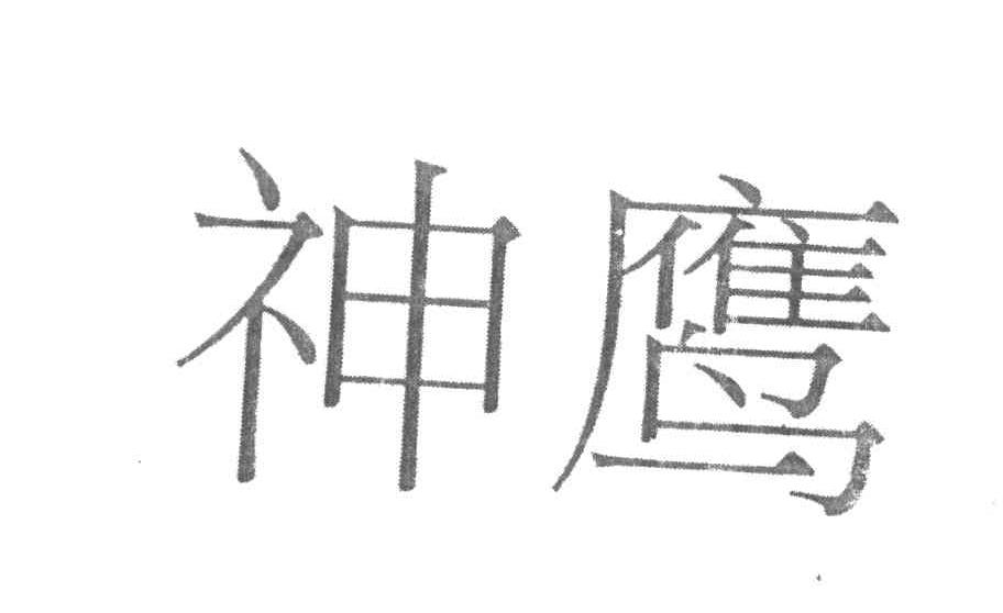 神鹰
