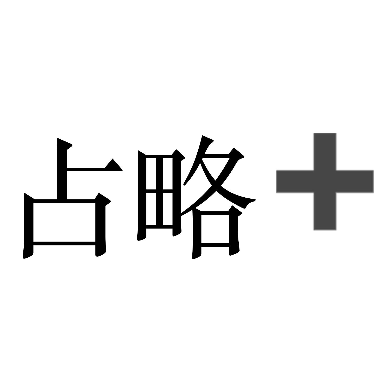 占略