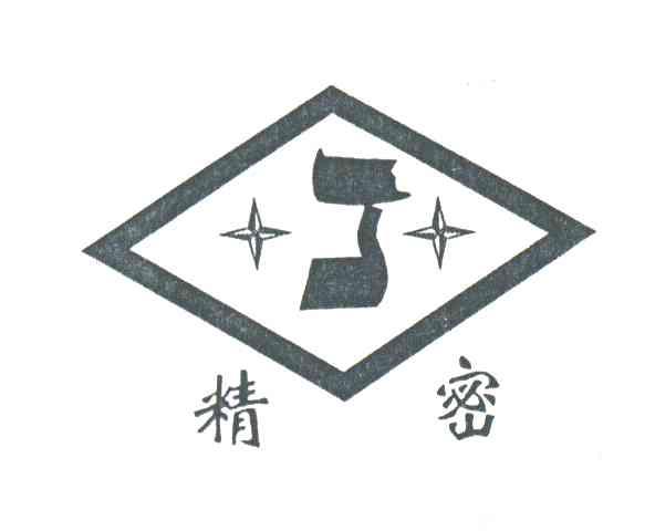 精密