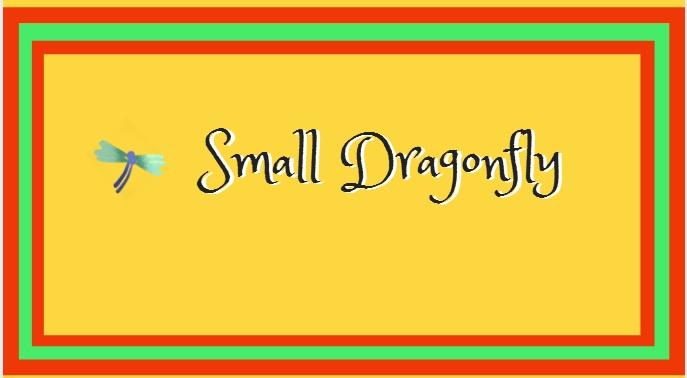 SMALL DRAGONFLY