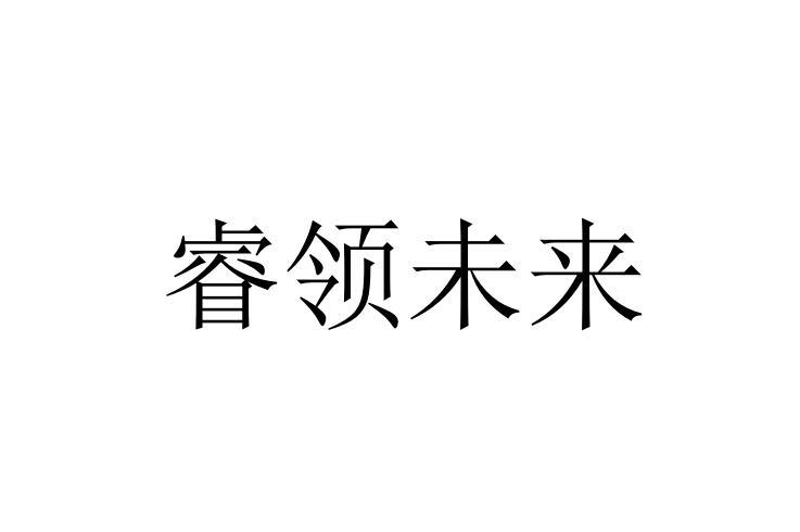睿领未来