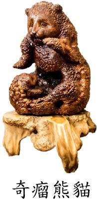 奇瘤熊猫