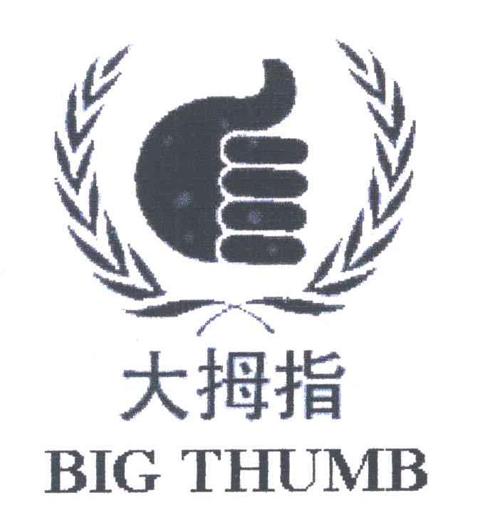 大拇指;BIG THUMB