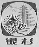 银杉