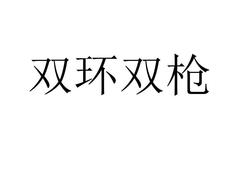 双环双枪
