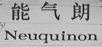 NEUQUINON    能气朗