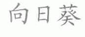 向日葵