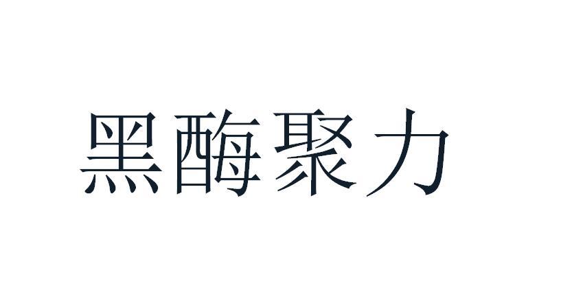 黑酶聚力