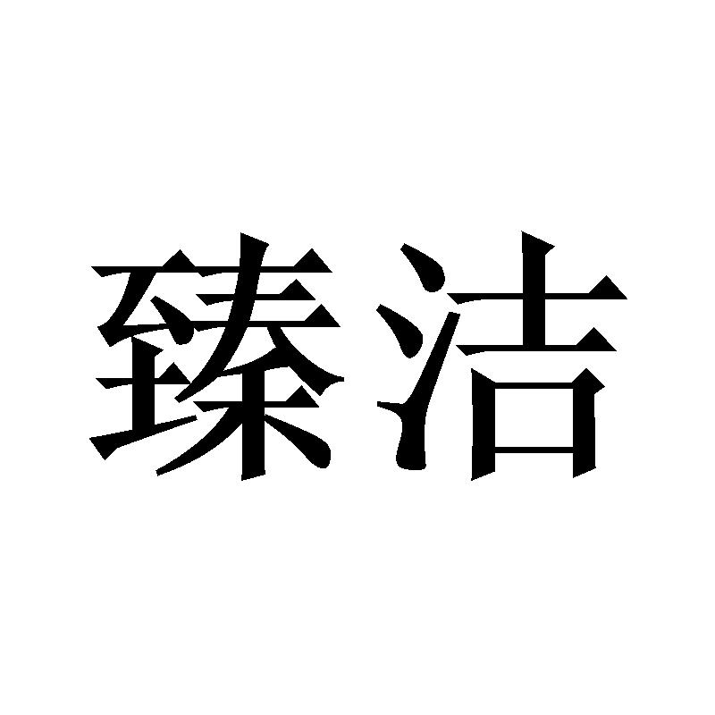 臻洁