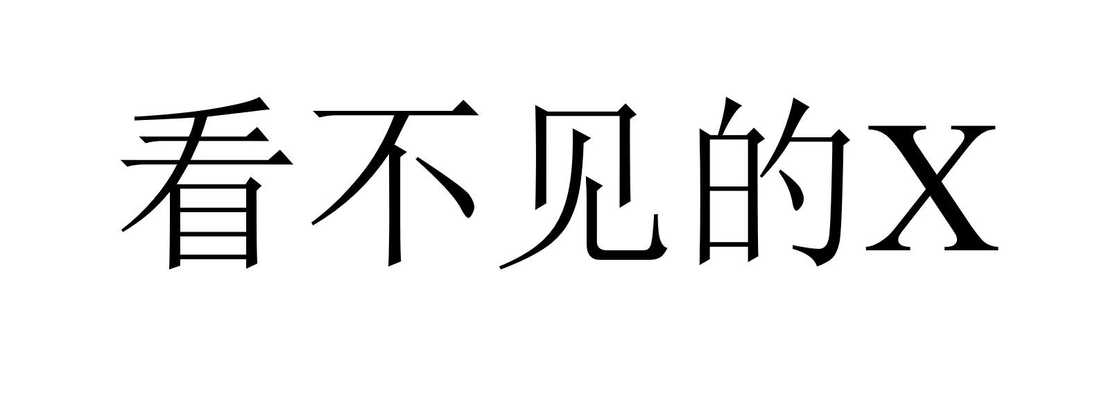 看不见的X