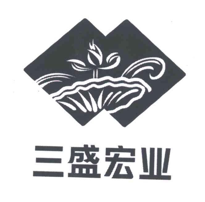 三盛宏业