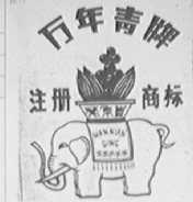 万年青
