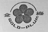 金梅    GOLD PLUM