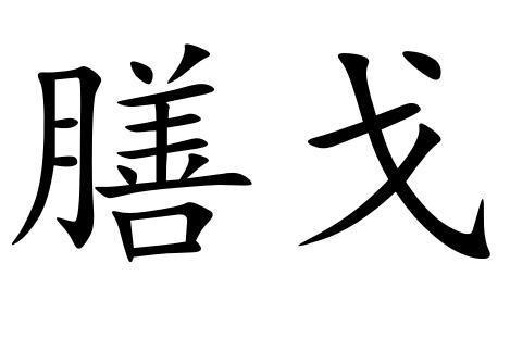 膳戈