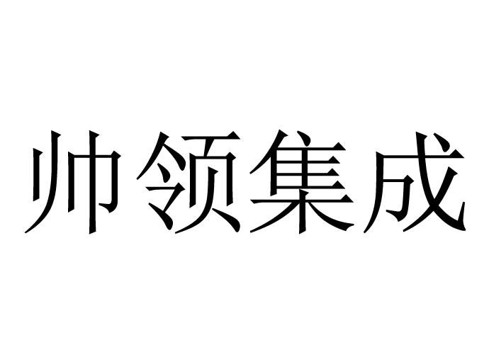 帅领集成