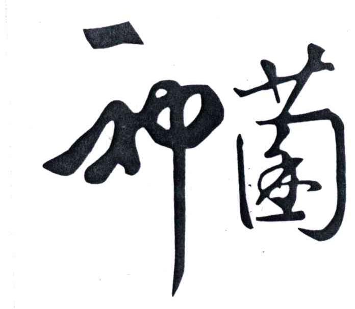 神菌
