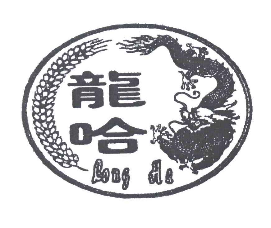 龙哈