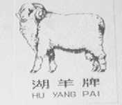 湖羊