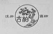 古柏