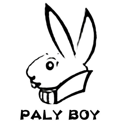 PALY BOY