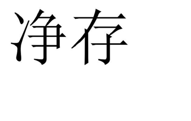 净存