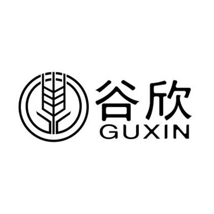 谷欣