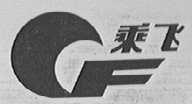 乘飞
