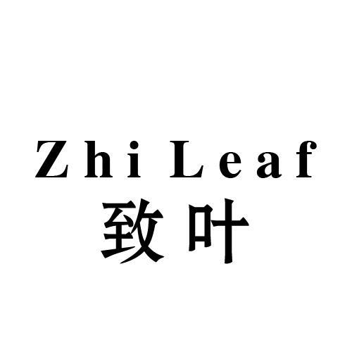 致叶 ZHI LEAF