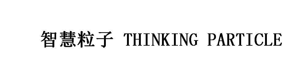 智慧粒子 THINKING PARTICLE