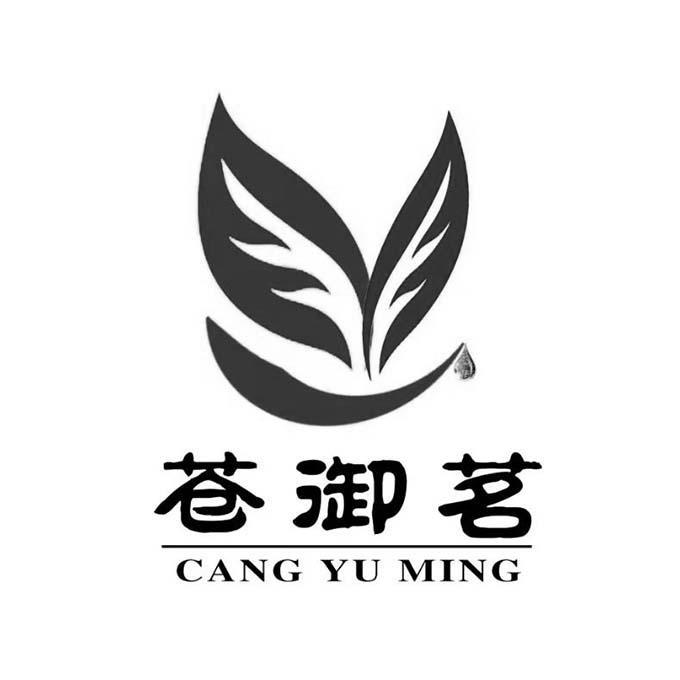 苍御茗